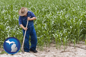 a farmer growing corn in a cornfield - with Michigan icon