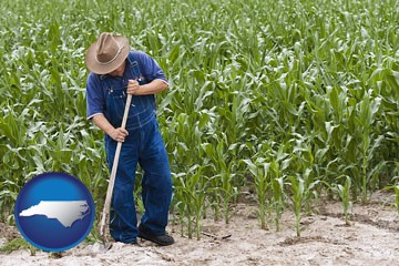 a farmer growing corn in a cornfield - with North Carolina icon