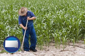 a farmer growing corn in a cornfield - with South Dakota icon