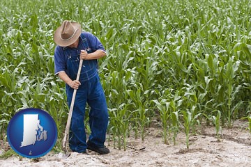 a farmer growing corn in a cornfield - with Rhode Island icon