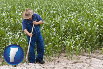 a farmer growing corn in a cornfield - with Vermont icon